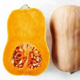 Oval Voatavo Pumpkin Seeds (Cucurbita moschata) - 10g